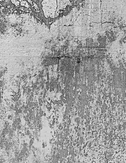 Béton désactivé à Landerneau 29800 | Tarif béton lavé décoratif