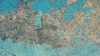 Béton désactivé à Maurepas 78310 | Tarif béton lavé décoratif