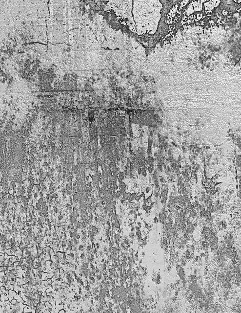 Béton désactivé à Pérols 34470 | Tarif béton lavé décoratif
